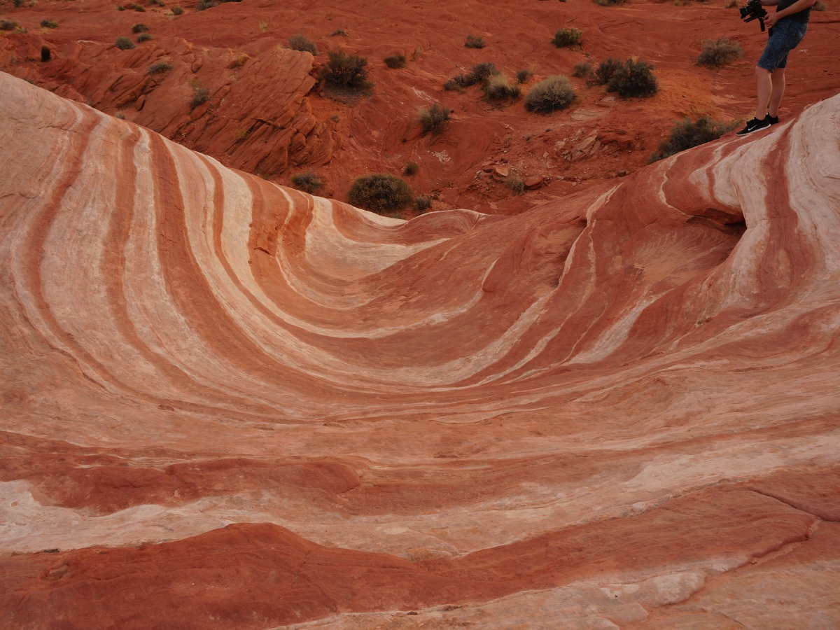 Surviving the Valley of Fire and Finding the Fire Wave